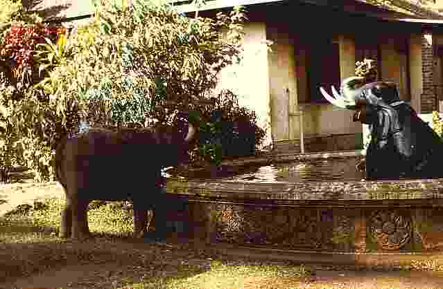 Sri Lanka Picture Archive 4